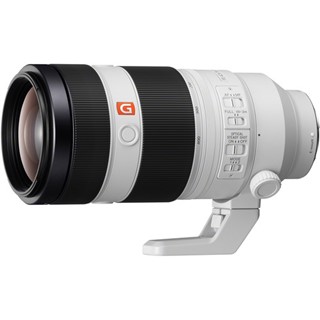 Sony 100-400mm f/4.5-5.6 GM OSS Lens
